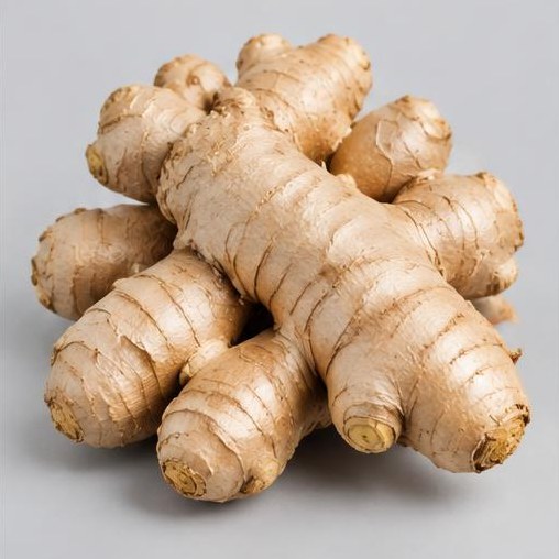 Ginger